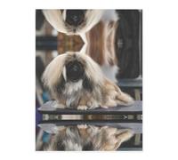 Pekingese Dog Crystal Sticker, 3D Stereoscopic Effect, Pattern Does Not Fall Off When Exposed to Water
