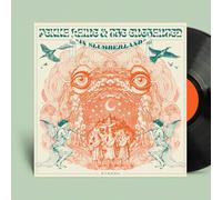 Pekka Laine - Pekka Laine & The Enchanted in Slumberland [VINYL]