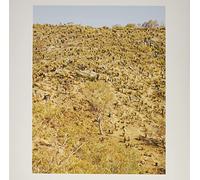 Pekler, Andrew & Ielasi, Giuseppe - Palimpsests [VINYL]