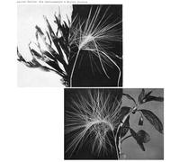 Pekler, Andrew - New Environments & Rhythm Studies [VINYL]