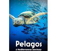 Pelagos, A Mediterranean Sanctuary