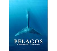Pelagos, A Mediterranean Sanctuary