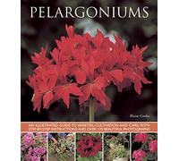 Pelargoniums: An Illustrated Guide to Varieties, Cultivation and Care, with Step-by-step Instructions and Over 170 Beautiful Photographs by Blaise Cooke (21-Nov-2013) Paperback