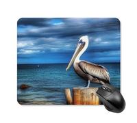 Pelican Bird Blue Sea Sky Mouse Pad 25 * 30cm - Non-Slip Rubber Base Mouse Mat Portable Square Desk Mat for Office, Laptop, Travel, Wireless Mice Mats - Waterproof & Durable Design