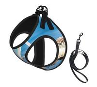 Pelican Bird Blue Sea Sky Print Soft Mesh Dog Harness and Leash Set Pet Puppy Cat Comfort Padded Vest No Pull Harnesses