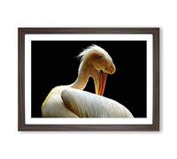 Pelican Bird Framed Print | A2 Walnut Framed Wall Art | Ready to Hang | Modern Animal Picture | Living Room Bedroom Lounge Office
