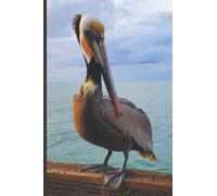 Pelican Journal Notebook: Ocean Animal Themed Journal 6x9 120 Lined Pages