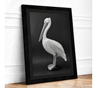 Pelican Profile Study Botanical Framed Wall Art Print A2 Black