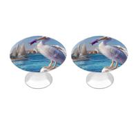 Pelican View Drawer Knobs Decorative Cabinet Knobs
