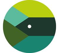 Pelican's Flight [VINYL]