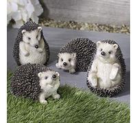 Pelle & Sol Set of 4 Hedgehog Garden Ornaments Outdoor - Animal Decoration, Waterproof Polyresin Statues - Adorable Hedgehog Gifts for Garden decorations