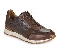 Pellet Shoes (Trainers) MIKE in Brown 8