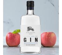 Pelter Pink Lady Gin - A Base Of Pink Lady Apples | Triple-distilled To Perfection | A Mediterranean Symphony in a Bottle | Enjoy With Some Freshly Pressed Juice, Or Perhaps A Sparkling Fruit Soda.