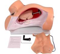 Pelvic Anatomical Model for Childbirth Simulation and Midwifery Instruction, Life Size Midwifery Delivery Training Model