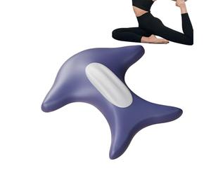 Pelvic Floor Trainer for Woman,Heating Workout Equipment - Pelvic Floor Training Core Support Exerciser,for Gym Living Room Home Mother Wife Sisters Family Friends