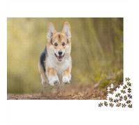 Pembroke Welsh Corgi 1000Pc Jigsaw Puzzle - Educational Game Decompression, A Corgi Puppy Jumps Cheerfully Perfect for Wall Decoration 70x50cm/1000pcs
