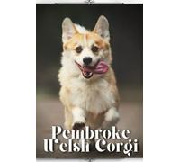 Pembroke Welsh Corgi: Dog breed overview and guide