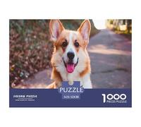Pembroke Welsh Corgi1000 Piece Mystery Jigsaw A Corgi Smiles at The Camera on A Path for Adults Kids Fun Colourful Brainteasing Suitable for Decompression52x38cm/1000pcs