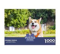 Pembroke Welsh CorgiClassic Jigsaw Game 1000Pieces A Corgi with An Orange Harness Sits on Grass for Adults & Kids 12 Years And Up Educational Challenging Mystery Decor38x26cm/1000pcs