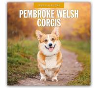 Pembroke Welsh Corgis 2026 Square Wall Calendar: Original Red Robin Publishing Ltd-Kalender [Mehrsprachig] [Kalender]