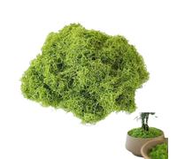 Pence & Moon Collective Fake Moss, Artificial Moss for indoor plant pots, Crafts, Decor, Model Making, Landscaping & More(50g Light Green)