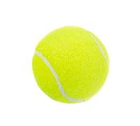 PENCHEAK Exercise Tennis Balls for Beginners Practice, for Kids Adults Training Soft Rubber