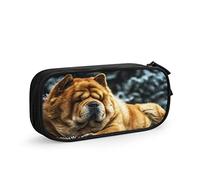 Pencil Case Chow Dog Frozen, Big Capacity Large Pouch Pen Holder School Supplies Stationery Storage Organizer for Office Student Girls Boys