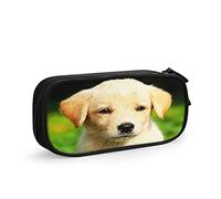 Pencil Case Cute Golden Retriever Dog Lover, Big Capacity Large Pouch Pen Holder School Supplies Stationery Storage Organizer for Office Student Girls Boys