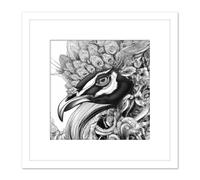 Pencil Drawing Peacock Portrait Study Black White Square Wooden Framed Wall Art Print Picture 8X8 Inch Artery8 White One Size