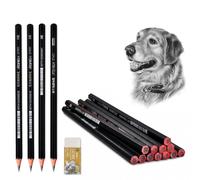 Pencil Set 13 Pieces - HB 2B 4B 6B Drawing Pencils with Eraser C6451 | Sketching Pencil Set for Beginners & Artists | Graphite Pencil for Sketching, Drawing, Shading, Manga & Portrait