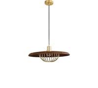 Pendant Lamp Metal Wire Cage Hanging Light, Walnut Color Load-Bearing Ceiling Plate Lighting Fitting Nordic Antique Suspension Lights for Study Room, Balcony, Storeroom