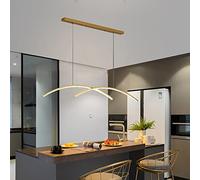 Pendant Light Dining Table LED Hanging lamp Indoors with Remote Control dimmable Chandelier Height Adjustable Kitchen Bedroom Dining Room bar Office Living Room Creative Lighting,A2 interesting