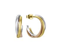 Pendientes Viceroy de aro 75320E01019 tricolor