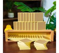penepico Premium Montessori Hundred Squares - 45 Panels with Grid for Decimal System & Placement Understanding, Math Material for Kids 5-7, Homeschool & Classroom