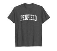 Penfield New York NY Vintage Athletic Sports Design T-Shirt, Men, Dark Heather Grey, Medium
