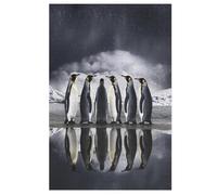 Penguin Adults Wooden Jigsaw Puzzle, for Kids Wooden Puzzles Toys Family Game Play,Brain Training 1000 Piece 78×53cm