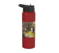 Penguin and Garden Art Fantasy Lawn Statues Stainless Steel Insulated Water Bottle