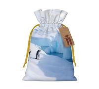 Penguin Antarctica Print Birthday Gifts Wrap Bag Unique Drawstring Gifts Bag Canvas Bags for Party Wedding Present,1 Piece S