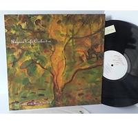 PENGUIN CAFE ORCHESTRA - PENGUIN CAFE ORCHESTRA when in rome, EGED56