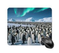 Penguin Colony Square Mouse Pads Non-Slip Rubber Base Mouse Mat Cute Mousepad Funny Computer Desk Accessories for Office Home Gaming Work 25 * 30cm