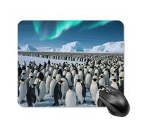 Penguin Colony Square Mouse Pads Non-Slip Rubber Base Mouse Mat Cute Mousepad Funny Computer Desk Accessories for Office Home Gaming Work 20 * 25cm