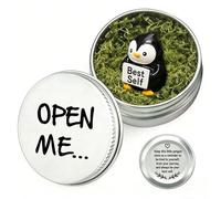 Penguin Gifts for Women & Men - Mini Penguin Figurines in a Tin, Positive Penguin Emotional Support Gift, Spiritual Gifts for Women, Good Luck Gifts, Valentine’s Day P-enguin Gift, P-enguin Gift Set