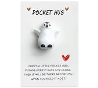 Penguin Gifts,Pocket Penguin,Little Pockets Hug Gift Decorations Cute Mini Penguins Animal Ornaments Present with Positive Card Penguin-Hug Keepsake Accessories Kits for Lovers,Family,Friends,Children