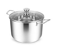 Penguin Home Professional Induction Safe Stainless Steel Stockpot With Glass Lid