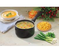 Penguin Home Professional Milk Pan