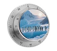 Penguin Ice Glacier Kitchen Timer 60 Minute Visual Wind Up Timers Indoor Mechanical Timers with Magnetic Base Stainless Steel Timer for Home Cooking Time Management Tool