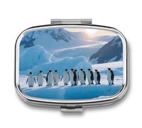 Penguin Ice Glacier Pill Box - 2 Compartment Travel Pill Organizer with Small Mirror, Portable Pillcase for Pocket & Purse, Cute Square Medicine Case, Weekly Medicine Container