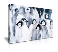 PENGUIN In Snow Canvas Wall Art Picture Print Best Gift for PENGUIN Lover Family Home Office Decoration (M: 61cm X 41cm)