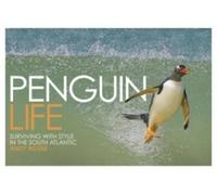 Penguin Life: Surviving with Style in the South Atlantic