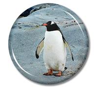 Penguin Magnet Fridge Refrigerator Magnet Stickers Travel Souvenir Metal Bottle Opener Decorative Magnet